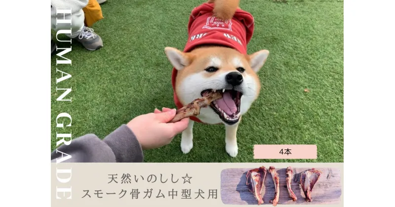 【ふるさと納税】中型犬向け☆天然いのししのスモーク骨ガム4本（300～400g）（FB083）