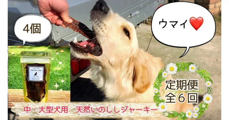 【ふるさと納税】中～大型犬向け☆天然いのししスモークジャーキー4個【定期便】全6回（FB088）