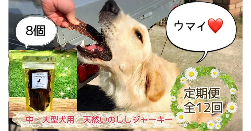 【ふるさと納税】中～大型犬向け☆天然いのししスモークジャーキー8個【定期便】全12回（FB092）