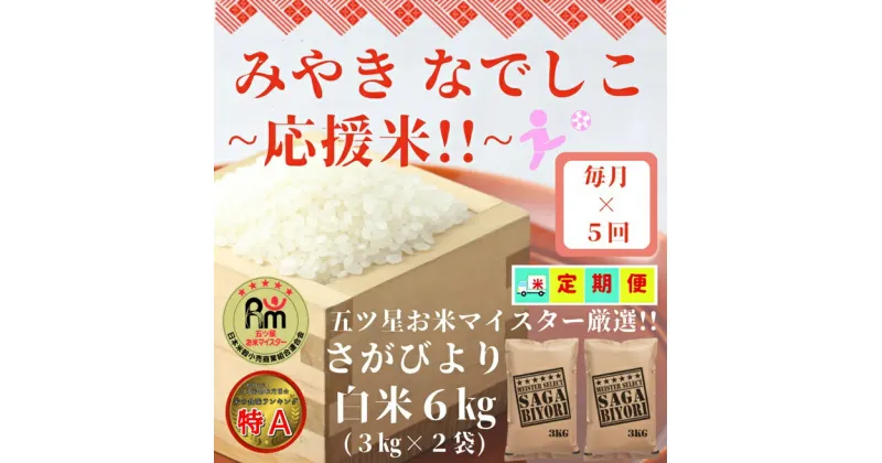 【ふるさと納税】【みやきなでしこ】応援米【5回定期便】さがびより白米6kg（3kg×2袋）（CI744）