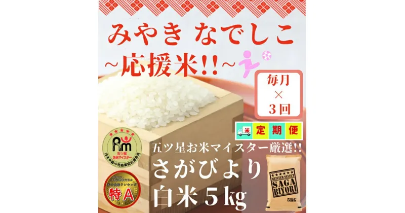 【ふるさと納税】【みやきなでしこ】応援米【3回定期便】さがびより白米5kg（CI767）