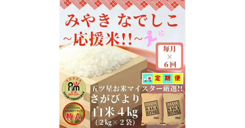 【ふるさと納税】【みやきなでしこ】応援米【6回定期便】さがびより白米4kg（2kg×2袋）（CI731）