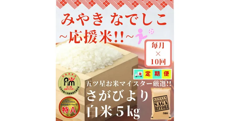 【ふるさと納税】【みやきなでしこ】応援米【10回定期便】さがびより白米5kg（CI714）