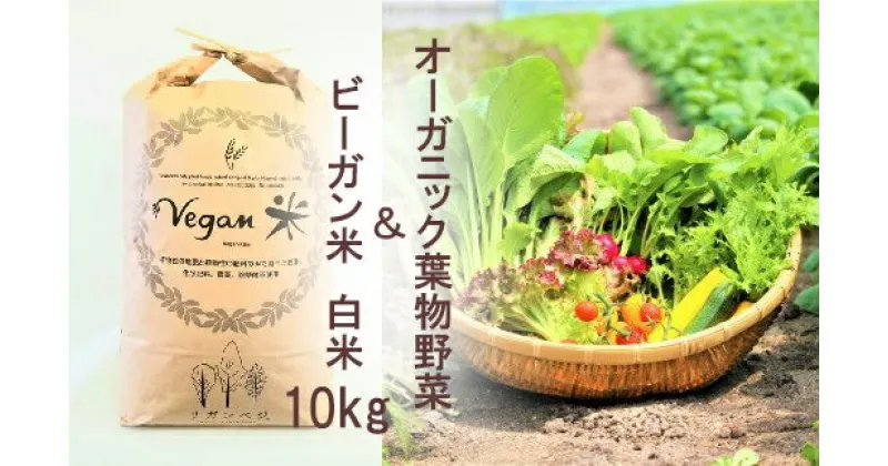 【ふるさと納税】11月以降発送 オーガニック葉物野菜セットとビーガン白米10kg【植物性で育てた完全無農薬のサガンベジブランド】（CQ023）