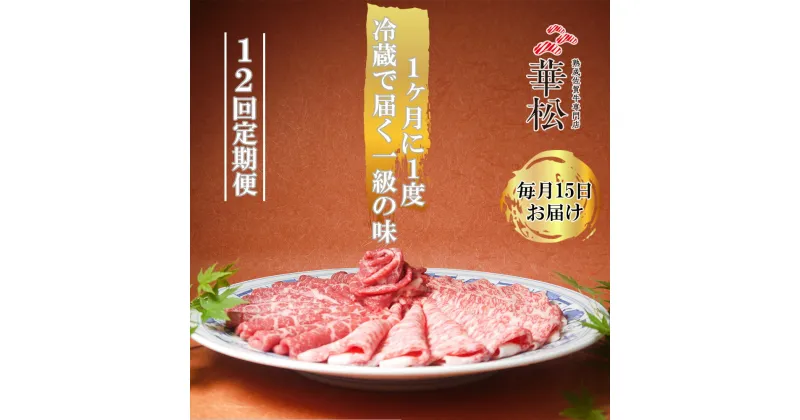 【ふるさと納税】【毎月15日冷蔵でお届け】佐賀牛スライス定期便800g×12か月【”0度20日間熟成”のウェットエイジング技法】（BL033）