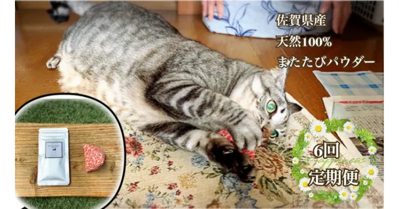 【ふるさと納税】猫用☆天然100％ 無添加・無農薬またたびパウダー＆蹴りぐるみ1個【定期便6回】（FB105）