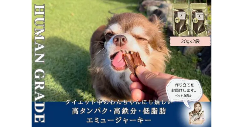 【ふるさと納税】犬の無添加おやつ☆ダイエット中のわんちゃんにも嬉しい高タンパク＆低脂肪のエミュージャーキー2個（FB107）