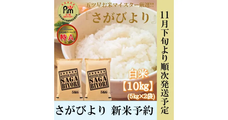 【ふるさと納税】白米さがびより10kg　新米予約【11月下旬より順次出荷】（CI645）