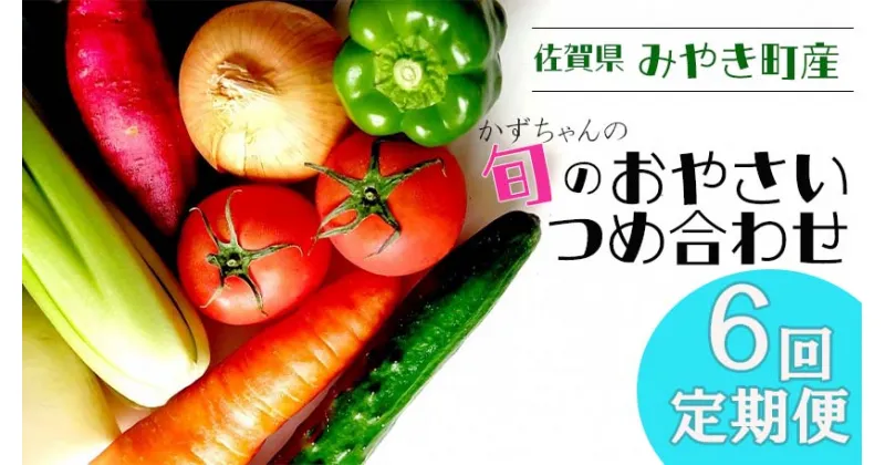 【ふるさと納税】【6回定期便】かずちゃんの朝採り新鮮野菜セット毎月お届け みやき町産（CC004)