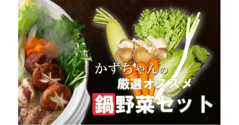 【ふるさと納税】【鍋約2回分】かずちゃんの厳選おススメ鍋野菜セット 野菜詰め合わせ 旬 新鮮 国産 水炊き 採れたて（CC005)