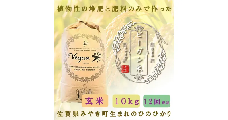 【ふるさと納税】【12か月定期便】ビーガン米10kg　玄米【植物性で育てた完全無農薬のサガンベジブランド】（CQ030）