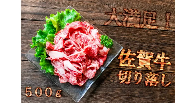 【ふるさと納税】【佐賀のお肉をご家庭に！】佐賀牛切り落とし500g（FK027）