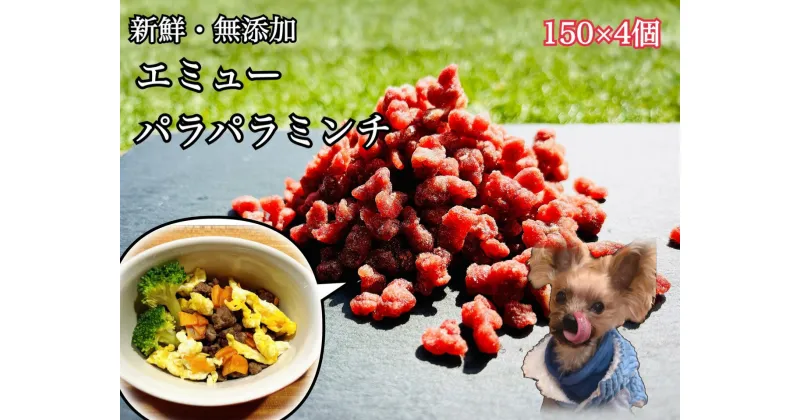 【ふるさと納税】エミューのパラパラミンチ☆わんちゃんの手作りごはん用150g×4個（FB126）