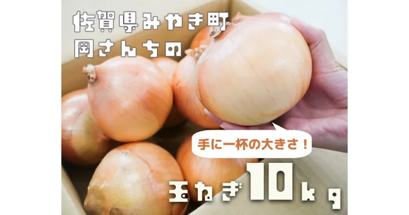 【ふるさと納税】佐賀県みやき町岡さんちのたまねぎ10kg　「2L、3Lサイズ」(BE023)