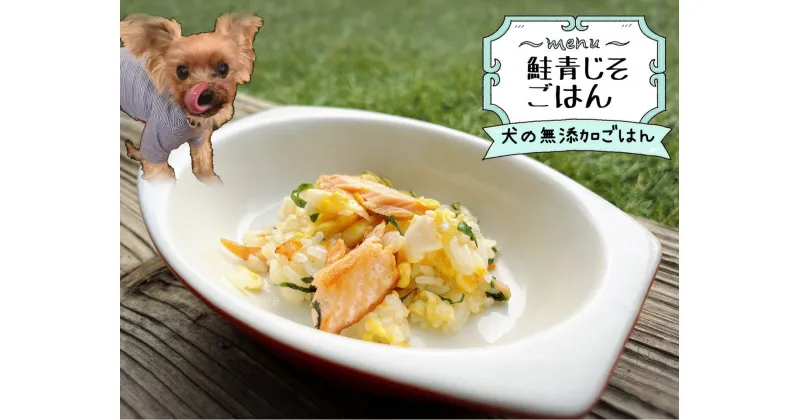 【ふるさと納税】犬の無添加手づくりごはん☆鮭青じそごはん（FB156）