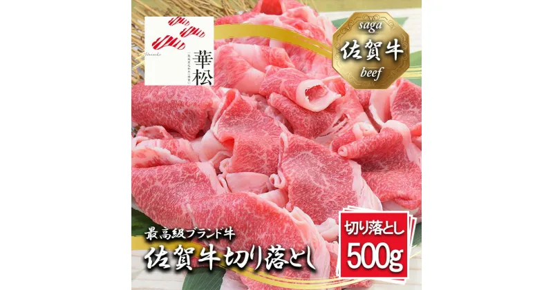 【ふるさと納税】佐賀牛切り落とし500g (BL036)