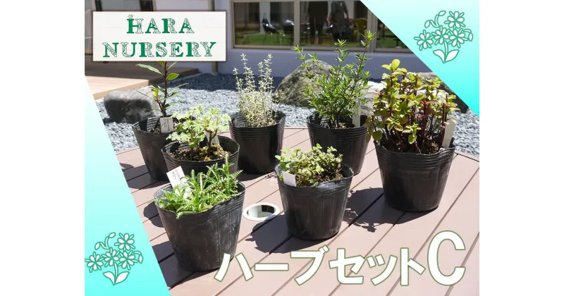 【ふるさと納税】ハーブセットC　花 苗 植物 家庭菜園 花壇 プランター ガーデニング（BS174）