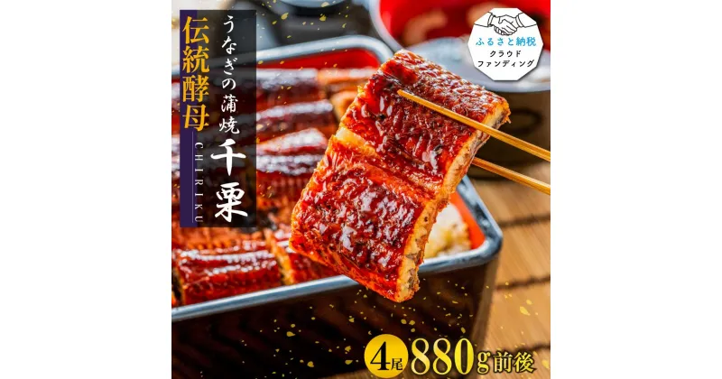 【ふるさと納税】【2025年6月以降出荷】伝統酵母　うなぎの蒲焼　千栗　220g×4【クラウドファンディング返礼品】(FM036CF)