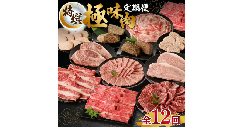 【ふるさと納税】【特撰】佐賀牛・県産和牛-極味肉定期便（全12回）／ 定期便 12回 高級 赤身 霜降り 肉 牛肉 佐賀産和牛 黒毛和牛 ハンバーグ ローストビーフ カルビ 肩ロース 切り落とし すき焼き しゃぶしゃぶ 薄切り スライス 焼肉 国産 佐賀県 玄海町 冷凍 送料無料