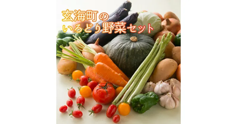 【ふるさと納税】いろどり野菜セット