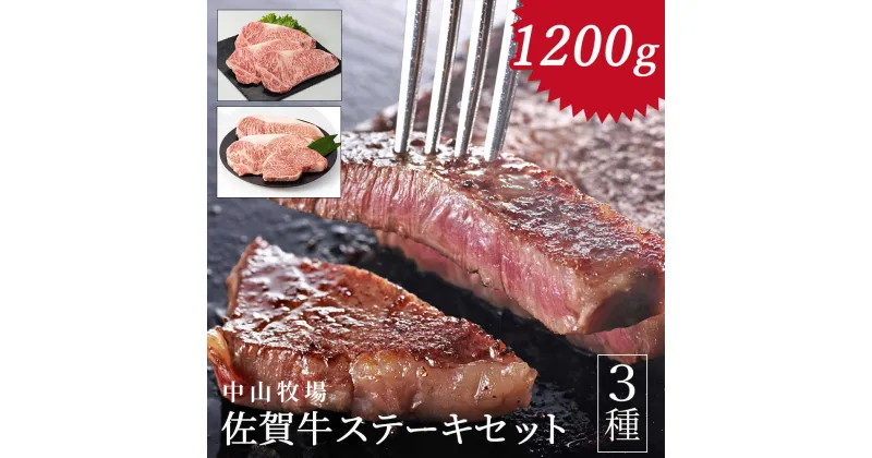 【ふるさと納税】中山牧場 佐賀牛ステーキ 1.2kg ／ 牛肉 肉 お肉 佐賀牛 赤身 霜降り モモ ウデ サーロイン ロース ヒレ ステーキ 焼き肉 焼肉セット バーベキュー BBQ A5 A4 a5 a4 黒毛和牛 ブランド牛 国産 佐賀県 玄海町 冷凍 送料無料