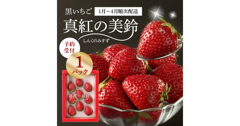 【ふるさと納税】【1月〜4月 順次配送】希少品種！黒いちご「真紅の美鈴（しんくのみすず）」予約受付／送料無料 黒いちご 黒イチゴ 真紅の美鈴 しんくのみすず 苺 いちご イチゴ 希少 品種 果物 くだもの フルーツ デザート 旬 順次配送