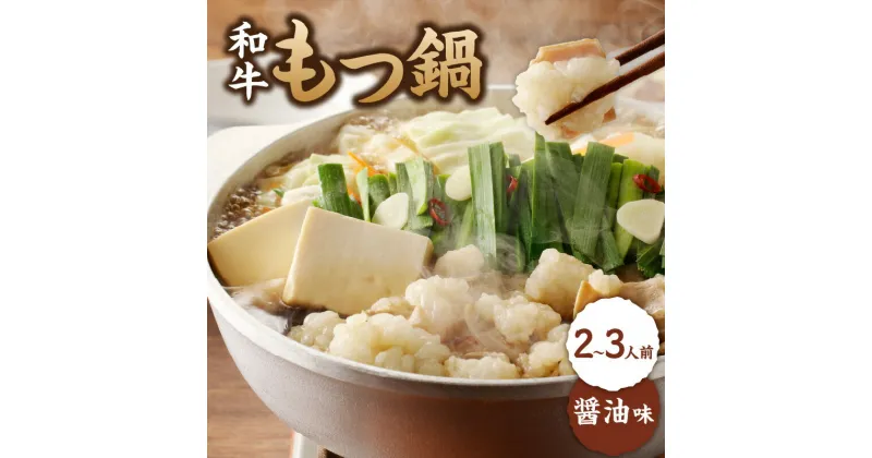 【ふるさと納税】食工房すいぐん 国産和牛もつ鍋（醤油味）2〜3人前 ／ 牛もつ もつ鍋 醤油 鍋セット 鍋 ちゃんぽん麺 小腸 国産 佐賀県 玄海町 冷凍 おすすめ 送料無料