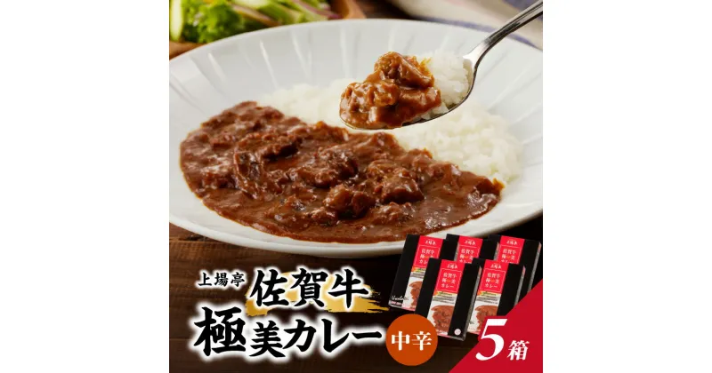 【ふるさと納税】佐賀牛極美カレー（中辛）【200g×5箱】