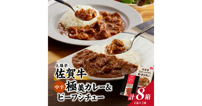 【ふるさと納税】佐賀牛極美カレー（中辛）と佐賀牛ビーフシチューセット（合計8箱）