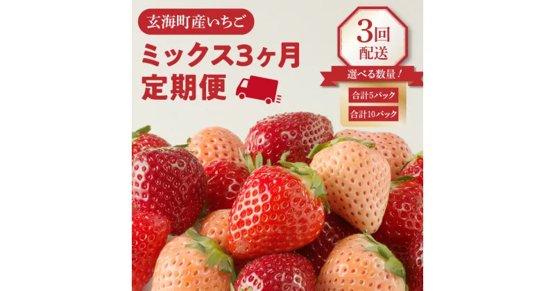 【ふるさと納税】【内容量選べる】玄海町産いちご ミックス定期便 【2月〜4月 計3回配送】／ 食べ比べ さがほのか 白いちご 白イチゴ 淡雪 黒いちご 黒イチゴ 真紅の美鈴 苺 いちご イチゴ 希少 品種 果物 くだもの フルーツ デザート 旬 定期便 毎月 予約受付 食べ比べ