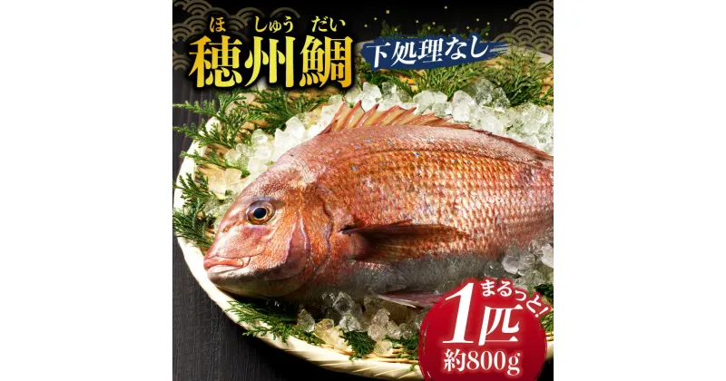 【ふるさと納税】渡邊水産 穂州鯛（下処理なし）／送料無料 鯛 お刺身 鯛しゃぶ 冷蔵 穂州鯛 ブランド鯛