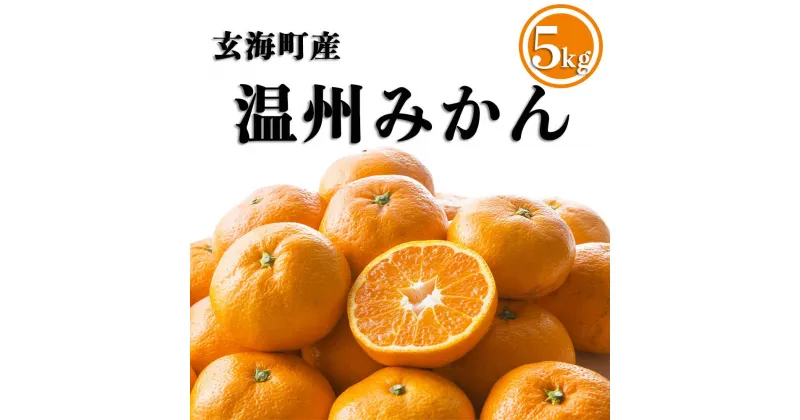 【ふるさと納税】【先行予約：10月下旬〜12月順次配送】温州みかん 5kg ／ 温州 みかん ミカン 蜜柑 早生 フルーツ 果物 旬 国産 佐賀県 玄海町 冷蔵 送料無料