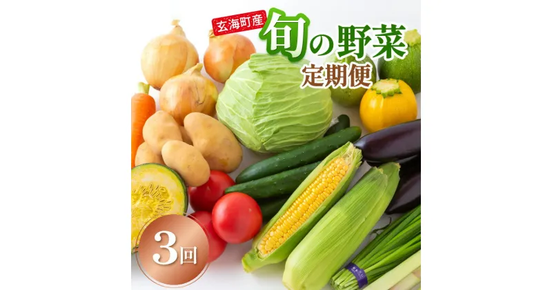 【ふるさと納税】玄海町産　旬の野菜定期便3か月