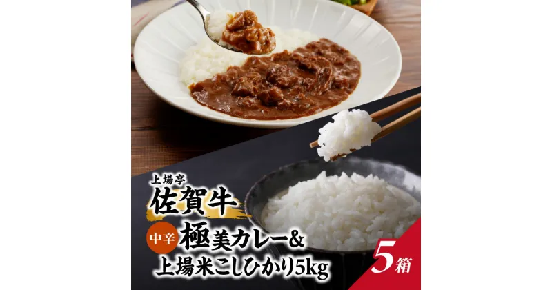 【ふるさと納税】上場米こしひかり5kg・極美カレー5箱セット