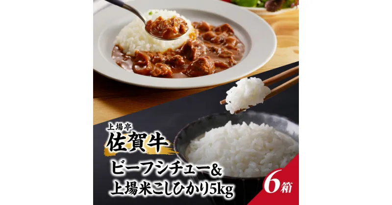 【ふるさと納税】上場米こしひかり5kg・ビーフシチュー6箱セット