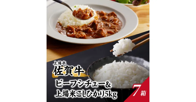 【ふるさと納税】上場米こしひかり5kg・ビーフシチュー7箱セット（2024年9月〜順次配送）