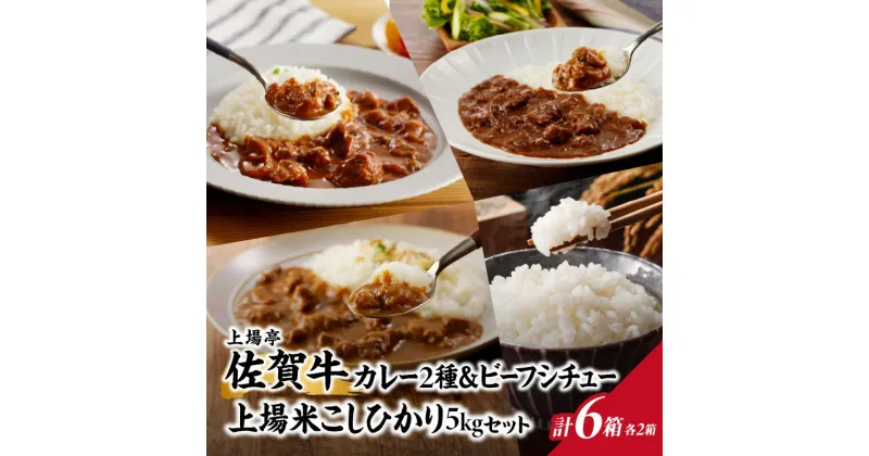 【ふるさと納税】上場米こしひかり5kg・上場亭カレー・極美カレー・ビーフシチュー各2箱セット