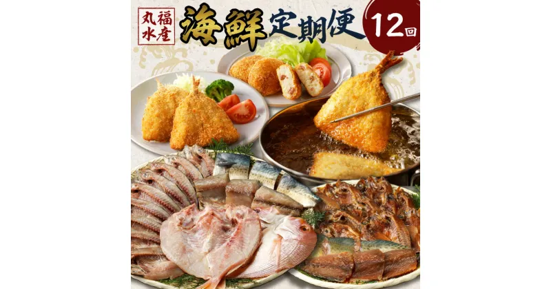 【ふるさと納税】丸福水産・海鮮定期便【12回】