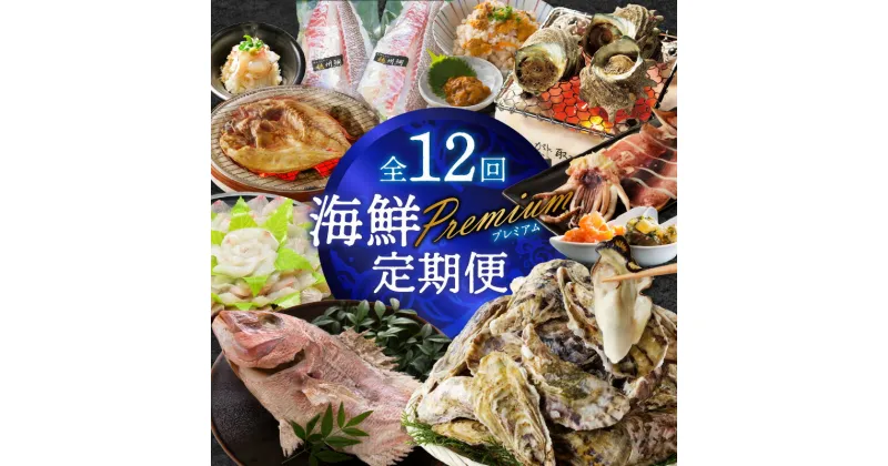 【ふるさと納税】海鮮Premium定期便（12回）