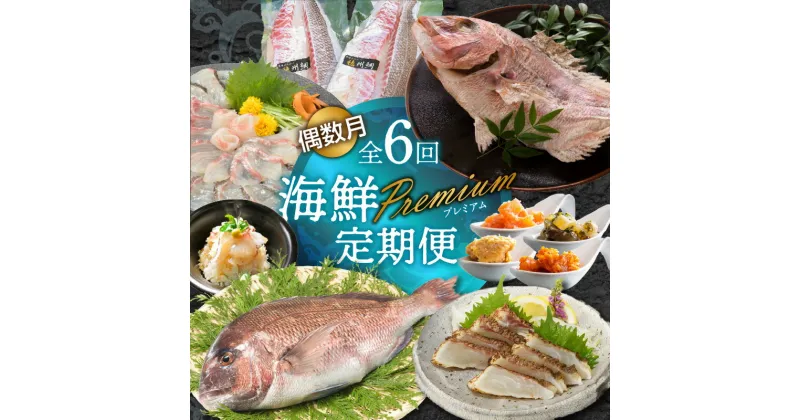 【ふるさと納税】海鮮Premium定期便（6回/偶数月）／鯛 真鯛 鯛茶漬け チャンジャ 味噌バター 明太 鯛めし カマ タタキ たたき 海鮮 偶数月 定期便 冷蔵