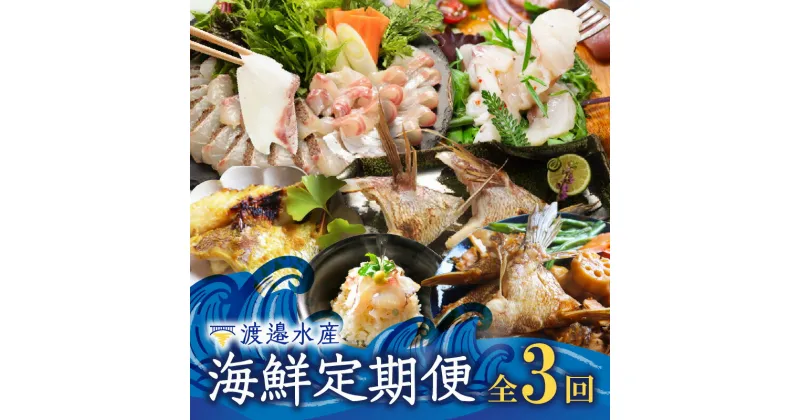 【ふるさと納税】渡邉水産・海鮮定期便（3回）