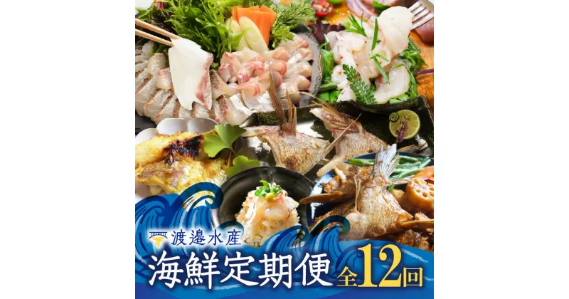 【ふるさと納税】渡邉水産・海鮮定期便（12回）