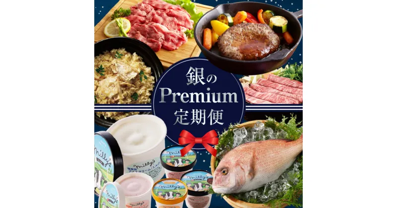 【ふるさと納税】銀Premium定期便（全12回配送）