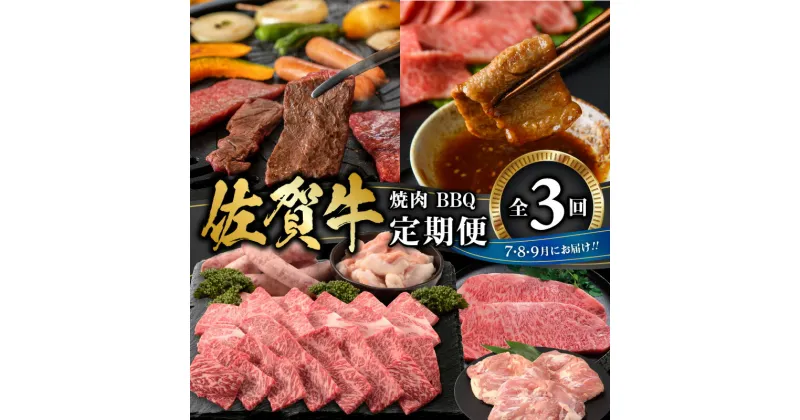 【ふるさと納税】佐賀牛　焼肉・BBQ定期便