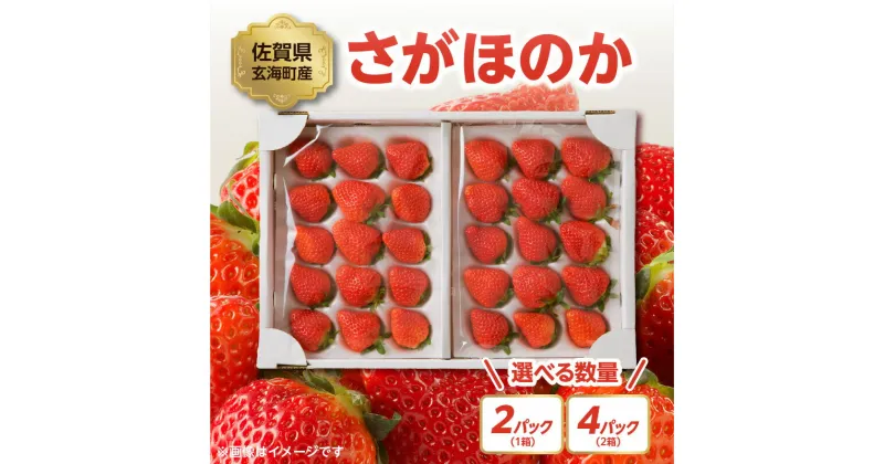 【ふるさと納税】【数量選べる】〈予約受付〉渡邉農園 佐賀県玄海町産さがほのか 1箱2パック or 2箱4パック（12月〜4月にお届け）／ 送料無料 さがほのか 苺 いちご イチゴ 希少 果物 くだもの フルーツ デザート 旬 1月配送 順次配送 予約受付