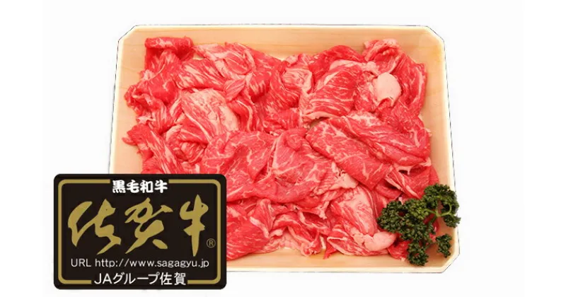 【ふるさと納税】【佐賀牛】切り落とし肉700g N25-3