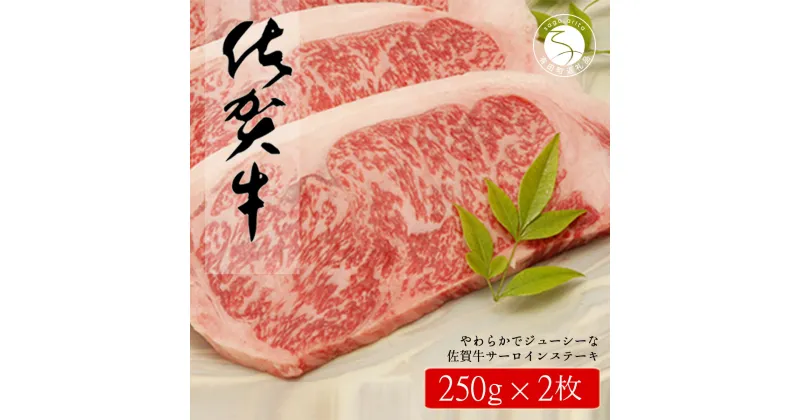 【ふるさと納税】佐賀牛サーロインステーキ500g（250g×2枚）【やわらかでジューシー！】牛肉 黒毛和牛 極上の佐賀牛 厳選 500グラム 30000円 3万円 お肉 おにく ギフト プレゼント 贈り物 N30-16