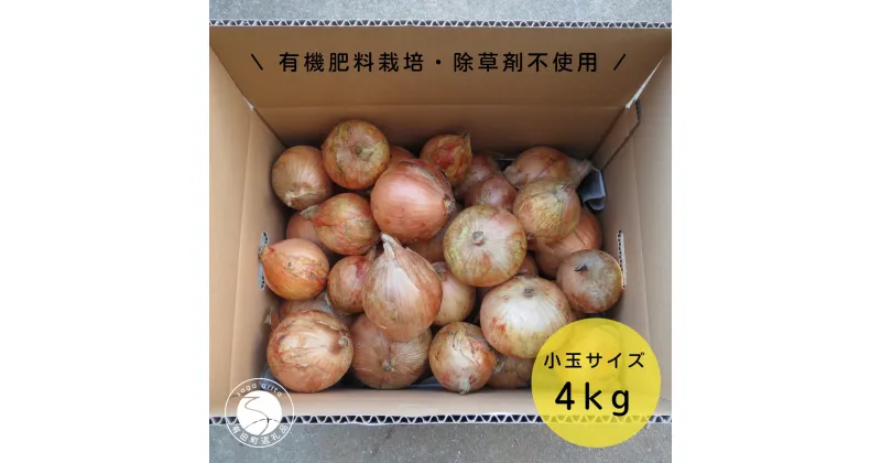 【ふるさと納税】【小玉サイズたまねぎ約4キロ】有機肥料栽培・除草剤不使用 輝ファーマーズ F8-7