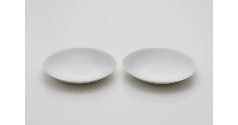 【ふるさと納税】 2016/ CH Deep Plate L Set 深皿 2枚セット 有田焼 食器 ギフト A40-203