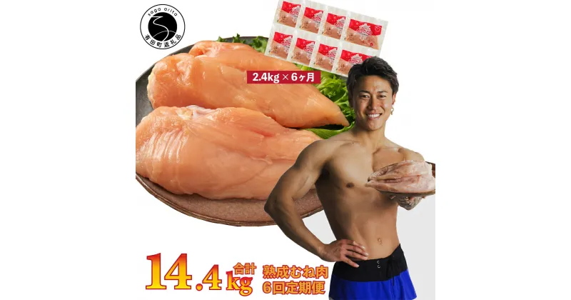 【ふるさと納税】【6回定期便 総計14.4kg】ありたどり 熟成むね肉 計2.4kg (300g×8パック) 6回 定期便 鶏肉 むね肉 ムネ肉 胸肉 小分け 真空パック 70000円 N70-3